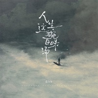 人生这碗百味汤 - Single - 袁kk