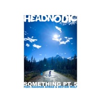 SOMETHING pt. 5 (feat. Destani Wolf & Raashan Ahmad) - Single - Headnodic