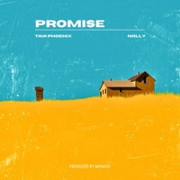 Promise - Single - Timi Phoenix & Nolly