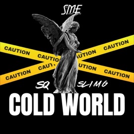 COLD WORLD (feat. SQ) Slim G