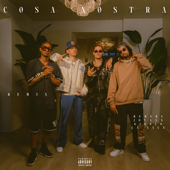 Cosa Nostra (Remix) song art