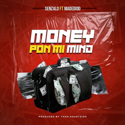 money pon mi mind (feat. Madedido & Senzalo) - Single