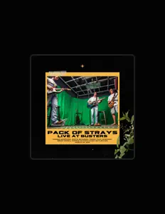 Pack of Strays: песни, клипы, биография, даты выступлений и многое другое.