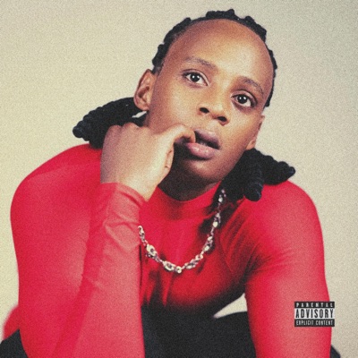 Skyboi -KuKi (INSTRUMENTAL) - Single