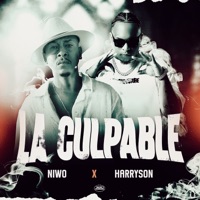 La Culpable - Single - Niwo & Harryson