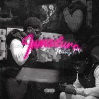 Inmaduro - Single - Teddy LV