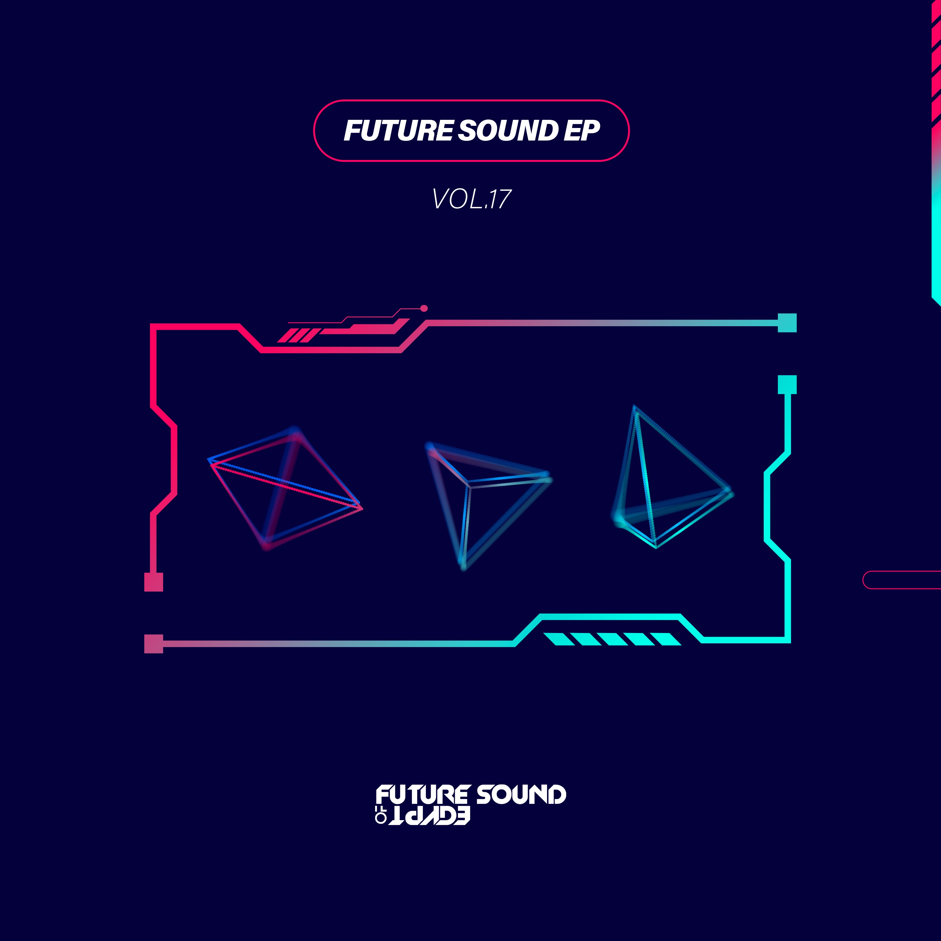 Future Sound EP Vol. 17 - Single
