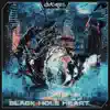 Black Hole Heart
