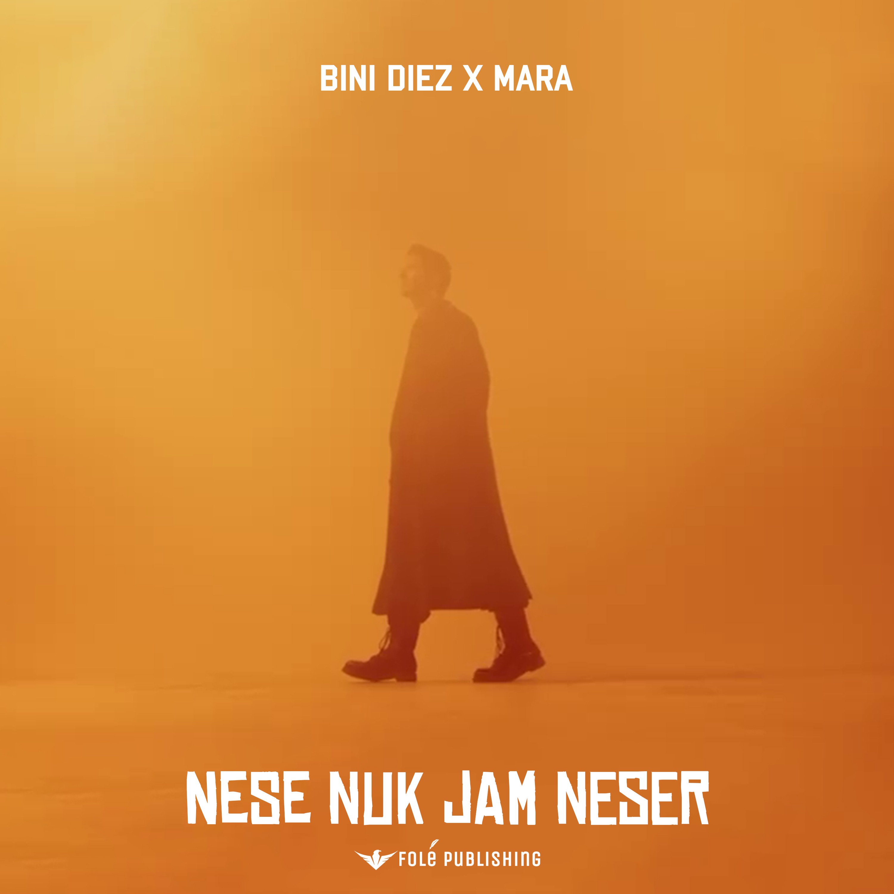 Nese nuk jam neser - Single