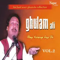 Humko Kiske Gham Ne Maara — Ghulam Ali