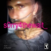 sorry4thewait - Single - ray25