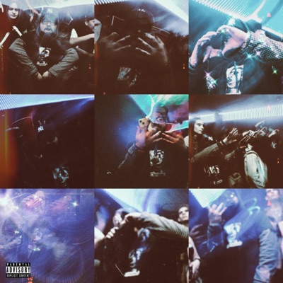 Stoner vs. Unpaulpular