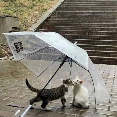 attached 2 u - Single