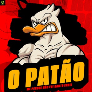 Me Perdoe Não Fui Santo Errei