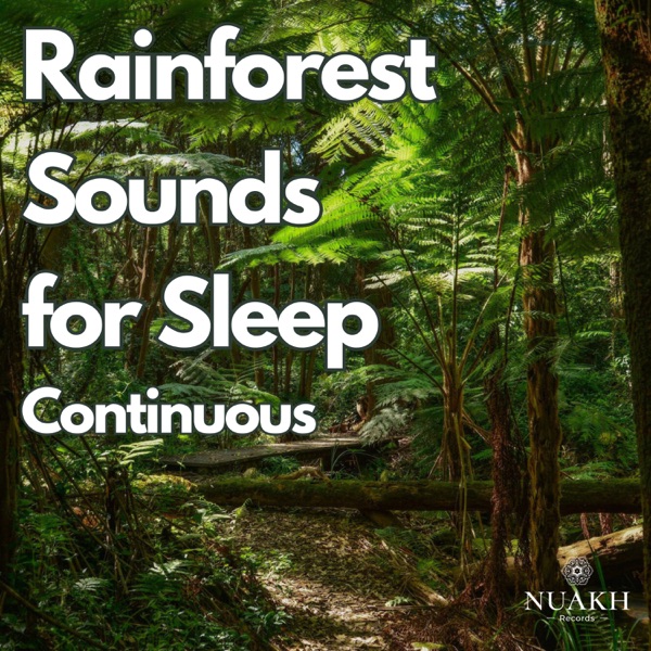Rainforest Sounds for Sleep (Continuous)