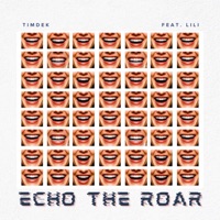 Echo The Roar (feat. Lili) - Single - Timdek