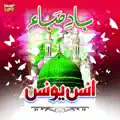 Tu Hai Mujeeb Humd (Anas Younus)