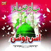 Tu Hai Mujeeb Humd — Anas Younus