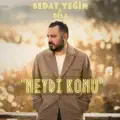 Neydi Konu