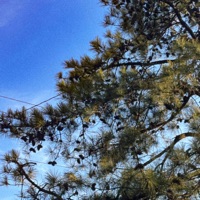 ground - Single - matebusi