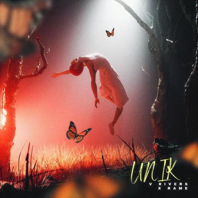 UNIK (feat. Ramé) - Single