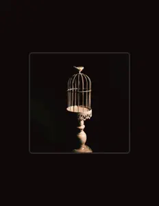 Ouça midnight, assista a videoclipes, leia a biografia, veja as datas das turnês e mais!