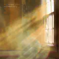 Radiance Field