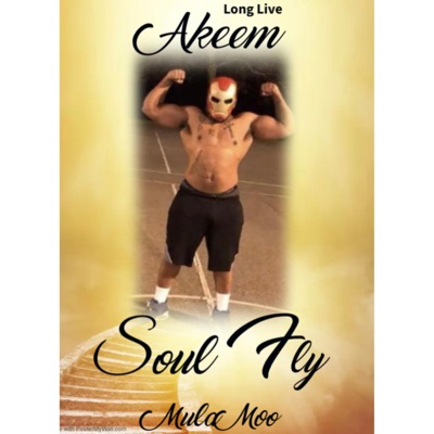 Soul Fly - Single