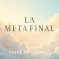 La meta final