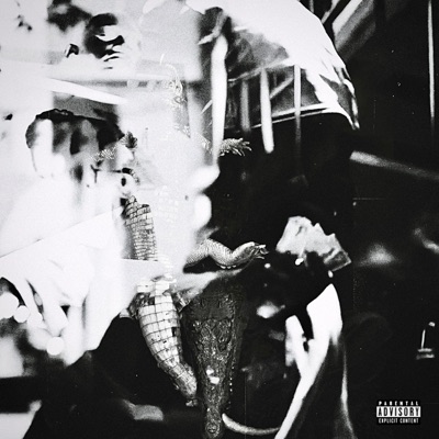 PAID in FULL - Single