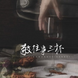 敬往事一杯 (女生版) Wang Na & Lanyi Yang