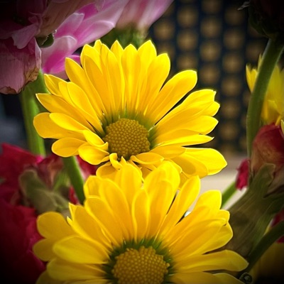 regardless (your own) - Single