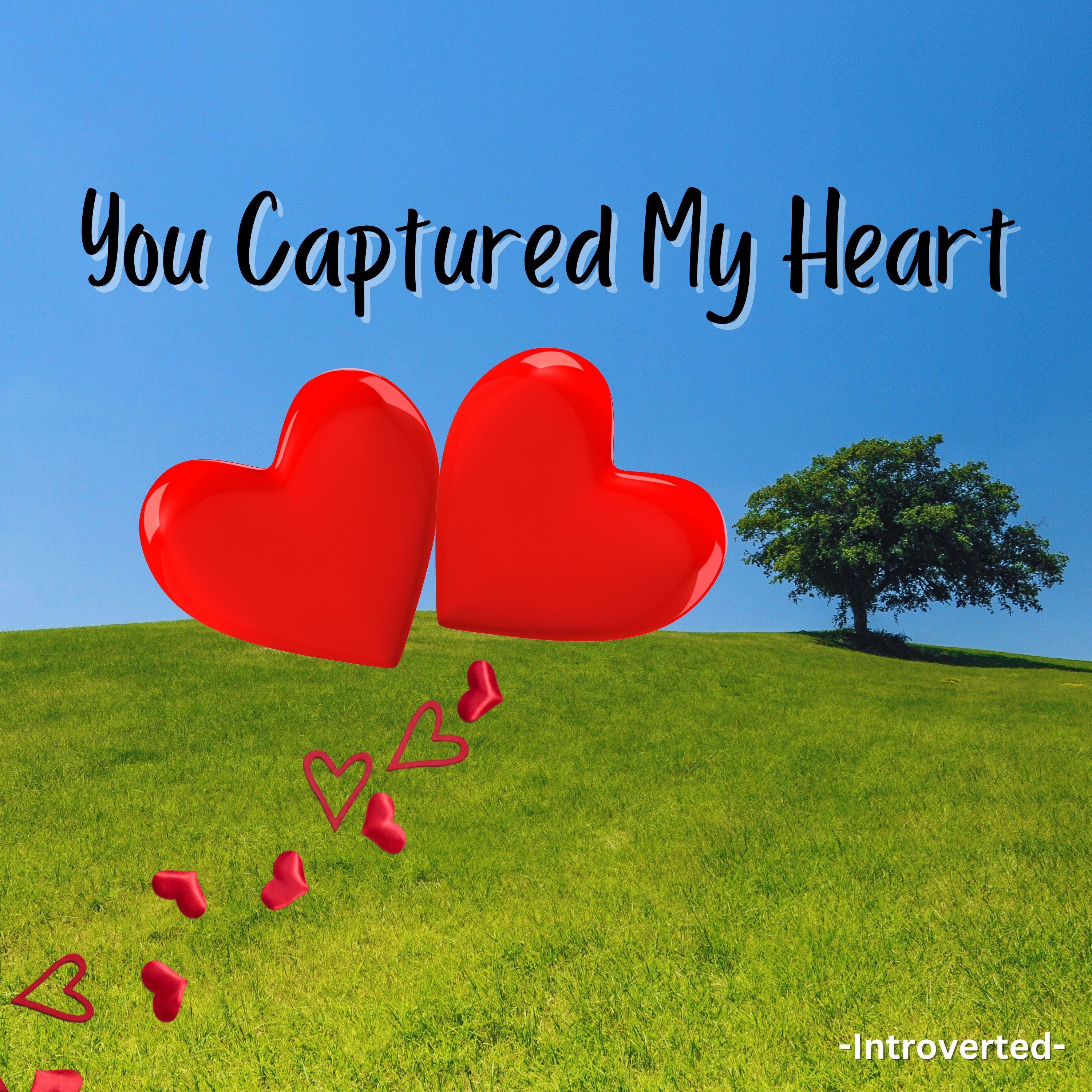 You Captured My Heart - Single