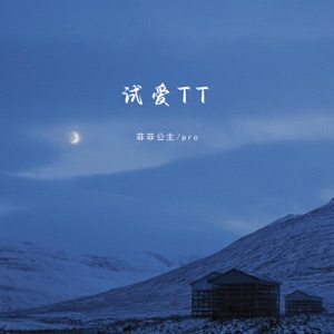 试爱TT - Single