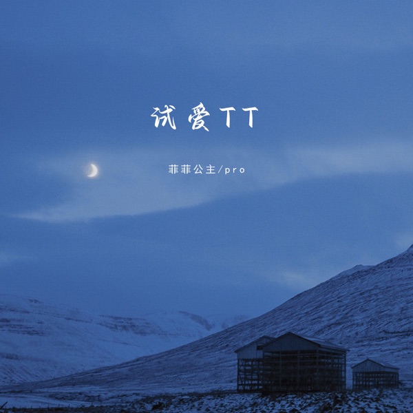 试爱TT - Single