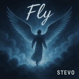 Fly Stevo