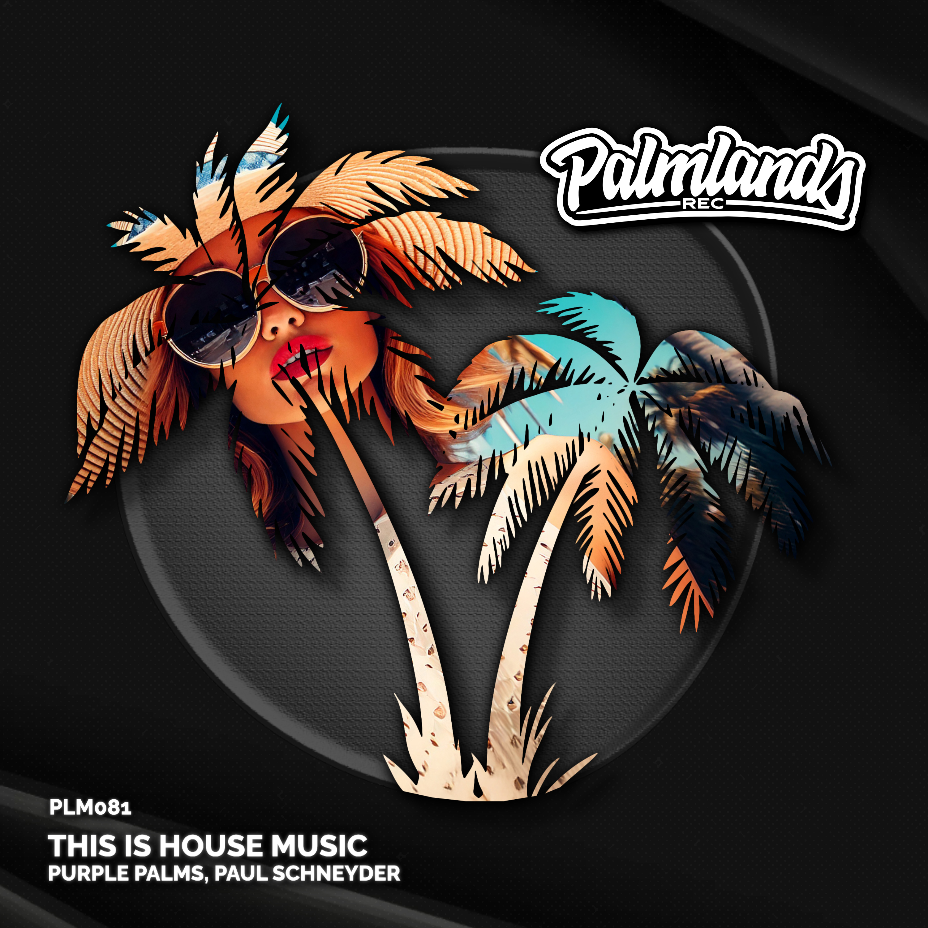 This Is House Music - Single