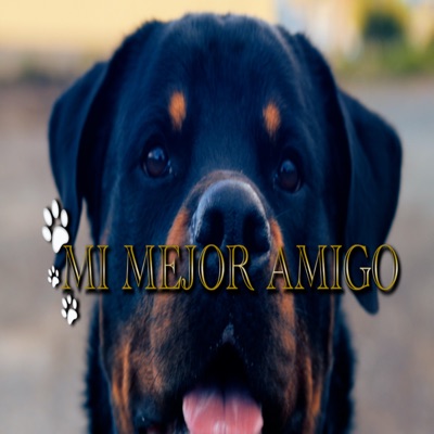 Mi Mejor Amigo - Single