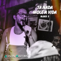 Tá Nada Mole a Vida (Bloco 5) [Ao Vivo] - EP - Alison Martins