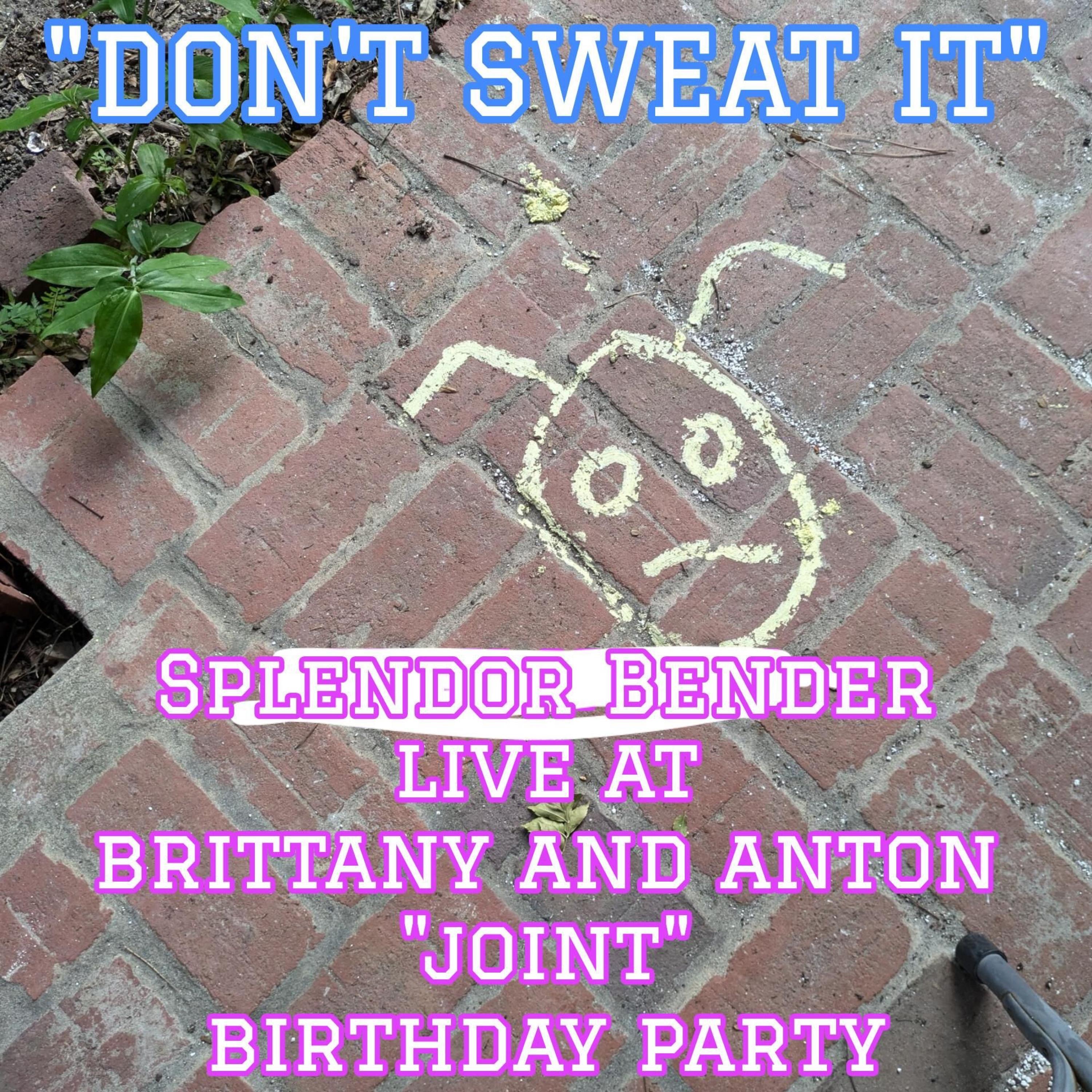 Splendor Bender - Speedball Oblivion (Live at Brittany and Anton "Joint" Birthday Party)