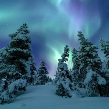 Manasha (Over Slowed)