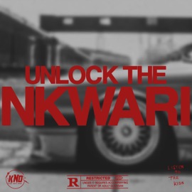 Mnaka (feat. Flash Ikumkani) Thekidsnextdoor & Anzo