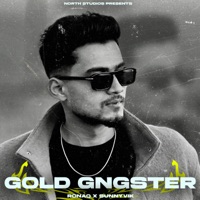 Gold Gngster - Single - Ronaq & Sunny Vik
