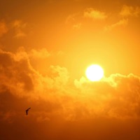 Yan (Akustik) - Single - Naklen & Özlem Başar