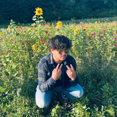 appreciation - Single