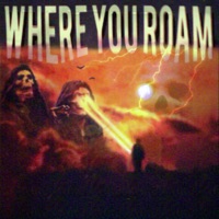 Where You Roam - Single - Hydra & Tenngage