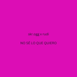 No Sé Lo Que Quiero skr.ogg & Rudi