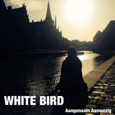 Aangenaam aanwezig - Single