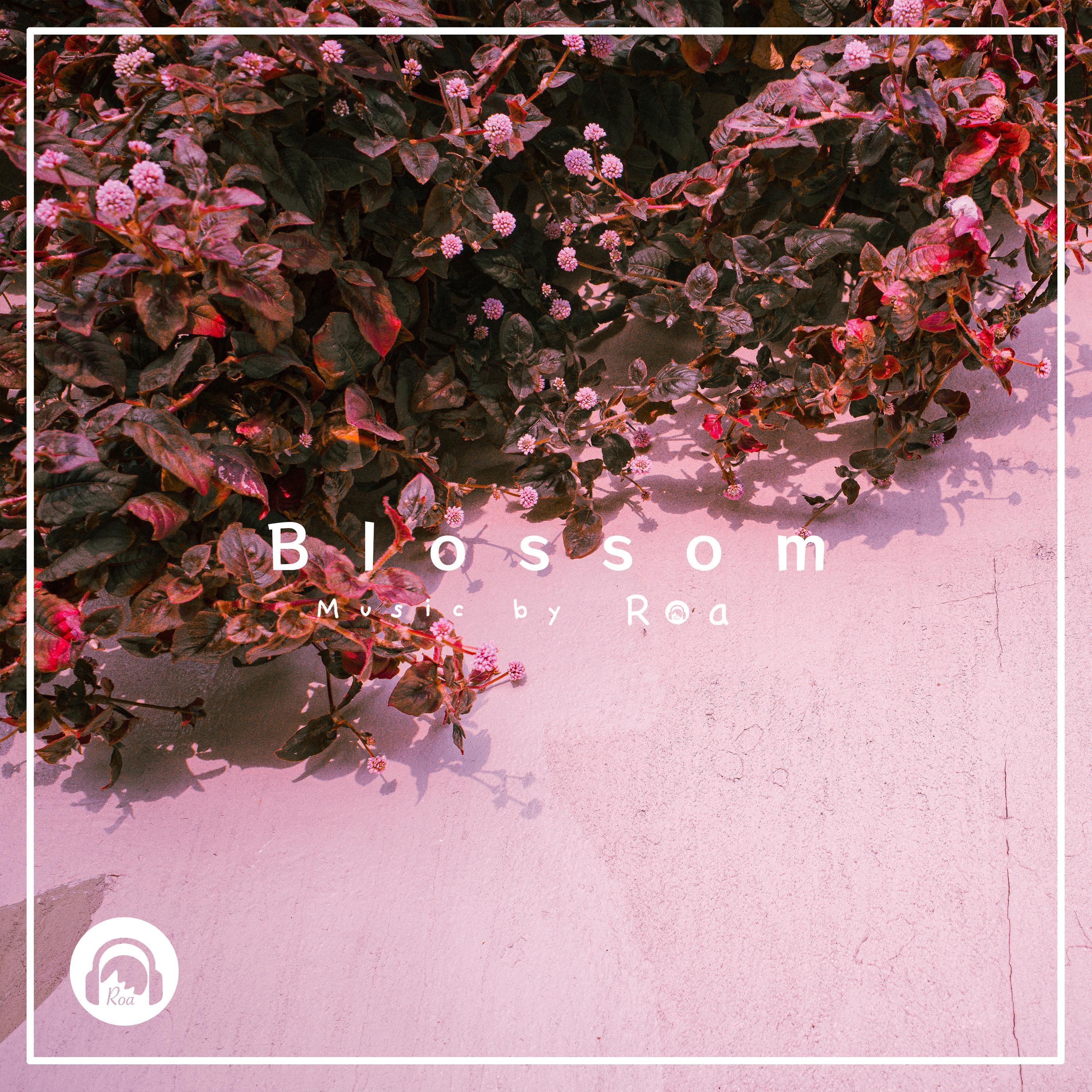 Blossom - Single