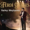 FERDI GURSES